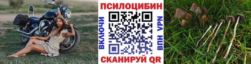 Псилоцибиновые грибы прущие грибы  Люберцы 